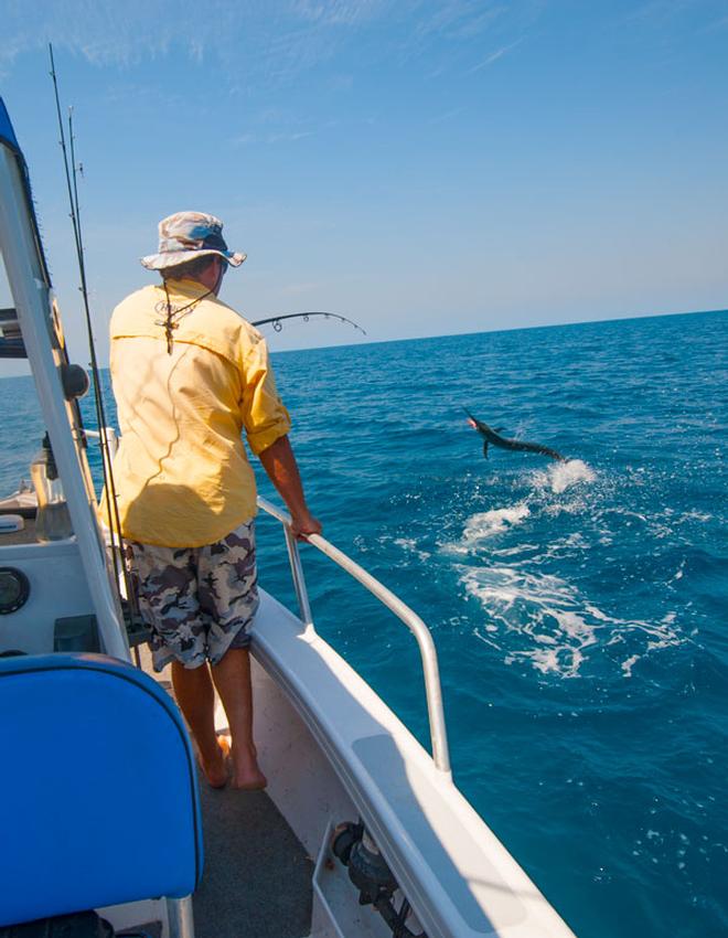 These small billfish tend to go absolutely berserk once hooked. Be prepared for some fireworks! © Ben Knaggs